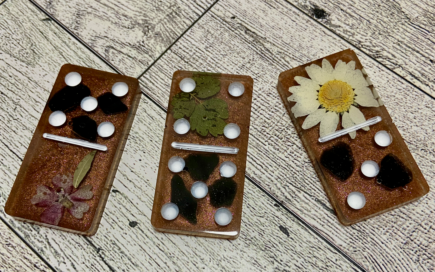 Acrylic Resin Domino Set